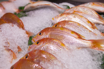 Taiwan's famous aquatic market, on the lead aquatic products, eating seafood