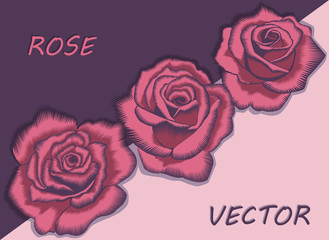 Vector decorative large flowers on the diagonal. Unusual stylized roses with sharp lines or similar to the zigzag embroidery. The gentle tones divided by two colors