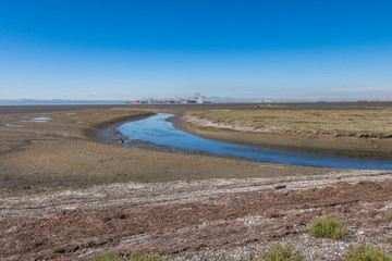 a shallow path of water curves and stretches to the ocean in the middle of mush-land