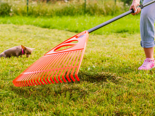 Woman using rake to clean up garden lawn