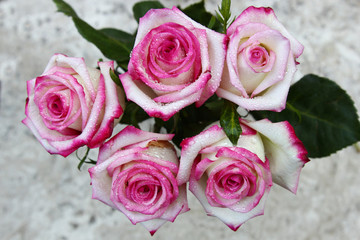A bunch of pink Roses