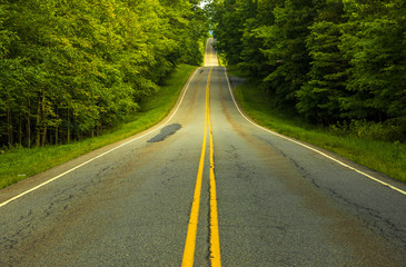 Forest road in Delaware Water Gap