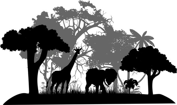 Vector silhouettes of wildlifew scene, forest, trees, animals, birds, elephant, vector animals.