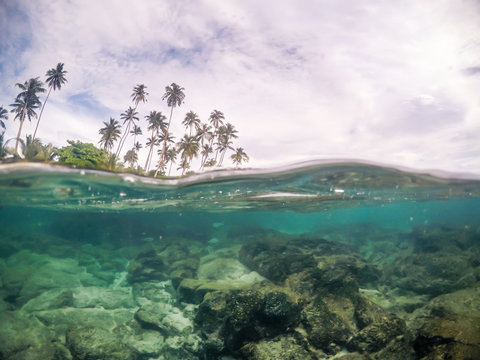 Split view cross section of sea water and palm trees in Samoa, South Pacific Island. Rocks and fish underwater; cloudy sky above.