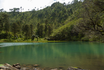 Mystic forest lagoon Magdalena in Huehuetenango, Guatemala, 