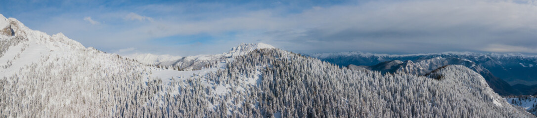 Aerial drone view of the snow-covered woods after a snowfall. Italian Alps