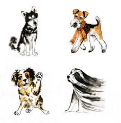 Рисунки собак акварелью "Хаски, Фокстерьер, Австралийская овчарка, Бородатый колли"