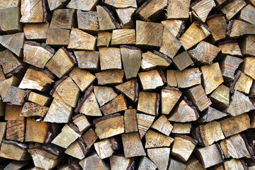 Pile of wooden sticks on a forest meadow in Podkarpacie province, Poland