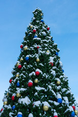 beautiful Christmas tree