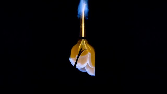 Furious fire on a black background. Beautiful flames close. Alpha channel the fire in burning your night.