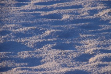 frischer Schnee von der Sonne bestrahlt mit leicht blauen Schatten
