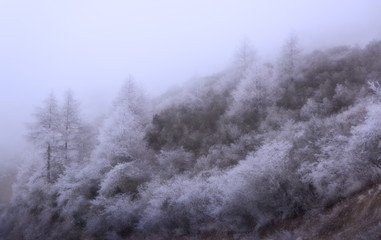The landscape of Tibetan area in Western China