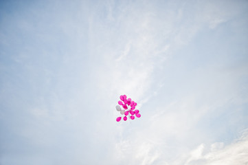 Bunch of pink balloons floating in the sky on the wedding day.