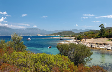 Naklejka premium Desert of Agriates in Corsica coast