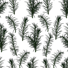 Seamless pattern with fir-tree branches.