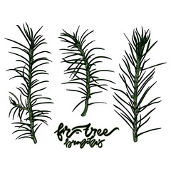  Fir-tree branches vector illustration.