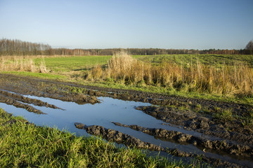 Puddle with mud on a dirt road and a green field