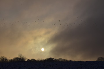 Lever de soleil hivernal