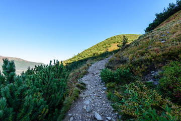 Fototapeta premium slovakian carpathian mountains in autumn. hiking trail on top of the mountain