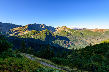 slovakian carpathian mountains in autumn. sunny hill tops in summer