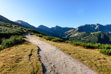 Fototapeta na wymiar slovakian carpathian mountains in autumn. hiking trail on top of the mountain
