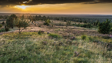 summer in german Heath