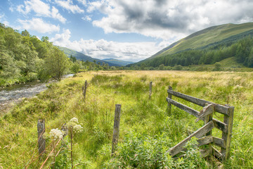 Scottish Landscape 14
