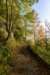 Fototapeta na wymiar scenic and beautiful tourism trail in the park Slovensky raj, Slovakia
