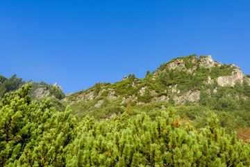 slovakian carpathian mountains in autumn. green hills with tops covered in first snow and white clouds above