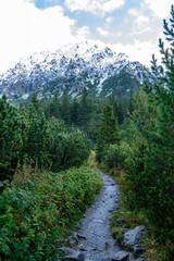 scenic and beautiful tourism trail in the park Slovensky raj, Slovakia