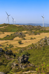 Wind power turbines farm in a green landscape 