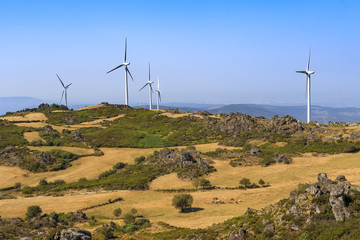Wind power turbines farm in a green landscape 