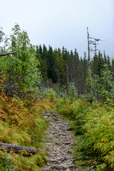 scenic and beautiful tourism trail in the park Slovensky raj, Slovakia