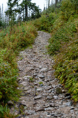 scenic and beautiful tourism trail in the park Slovensky raj, Slovakia
