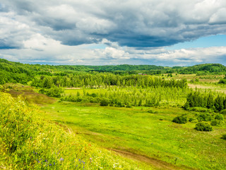 Fototapeta na wymiar View From A Hill At The Izborsk Valley In Summer