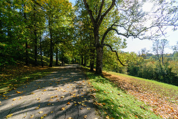 Naklejka premium scenic and beautiful tourism trail in the park of Turaida