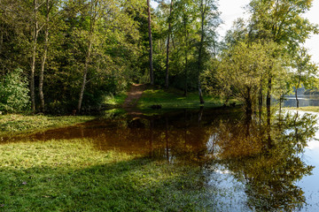 high water level in river Gauja, near Valmiera city in Latvia. summer trees surrounding