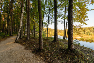 high water level in river Gauja, near Valmiera city in Latvia. summer trees surrounding