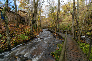old wooden boardwalk covered with leaves in ancient forest