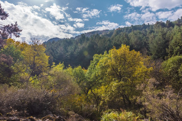 Fototapeta na wymiar paisaje ruta del purgatorio sierra de madrid españa