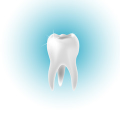 healthy tooth isolated on a blue background