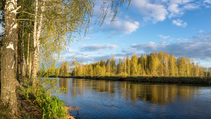 весенний пейзаж на Уральской реке с березами на берегу, Россия, Урал, май © 7ynp100