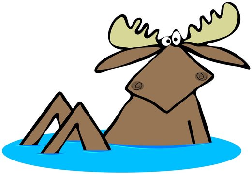 Illustration of a startled bull moose sitting upright in some water.