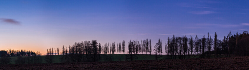 Tree silhouettes on the horizon at sunrise