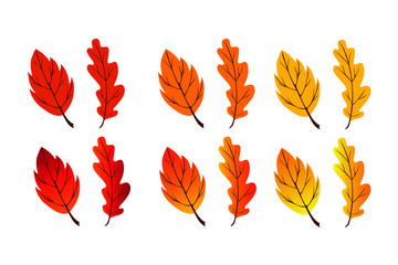 Autumn leaf set on white background. Vector illustration.