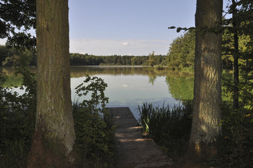 lake in the forrest