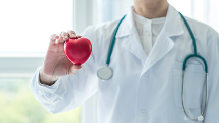 Cardiovascular disease doctor or cardiologist holding red heart in clinic or hospital exam room office for professional medical and cardiology health care service and world heart health day concept