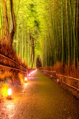 Las bambusowy w Kyoto - obrazy, fototapety, plakaty