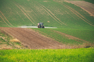 Farm machinery spraying insecticide to the green field. Tractor sprinkling pesticides against bugs on agricultural field. 