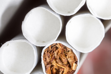 White cigarettes in a pack.